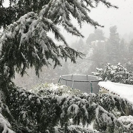 Villagio & Apartment Souli